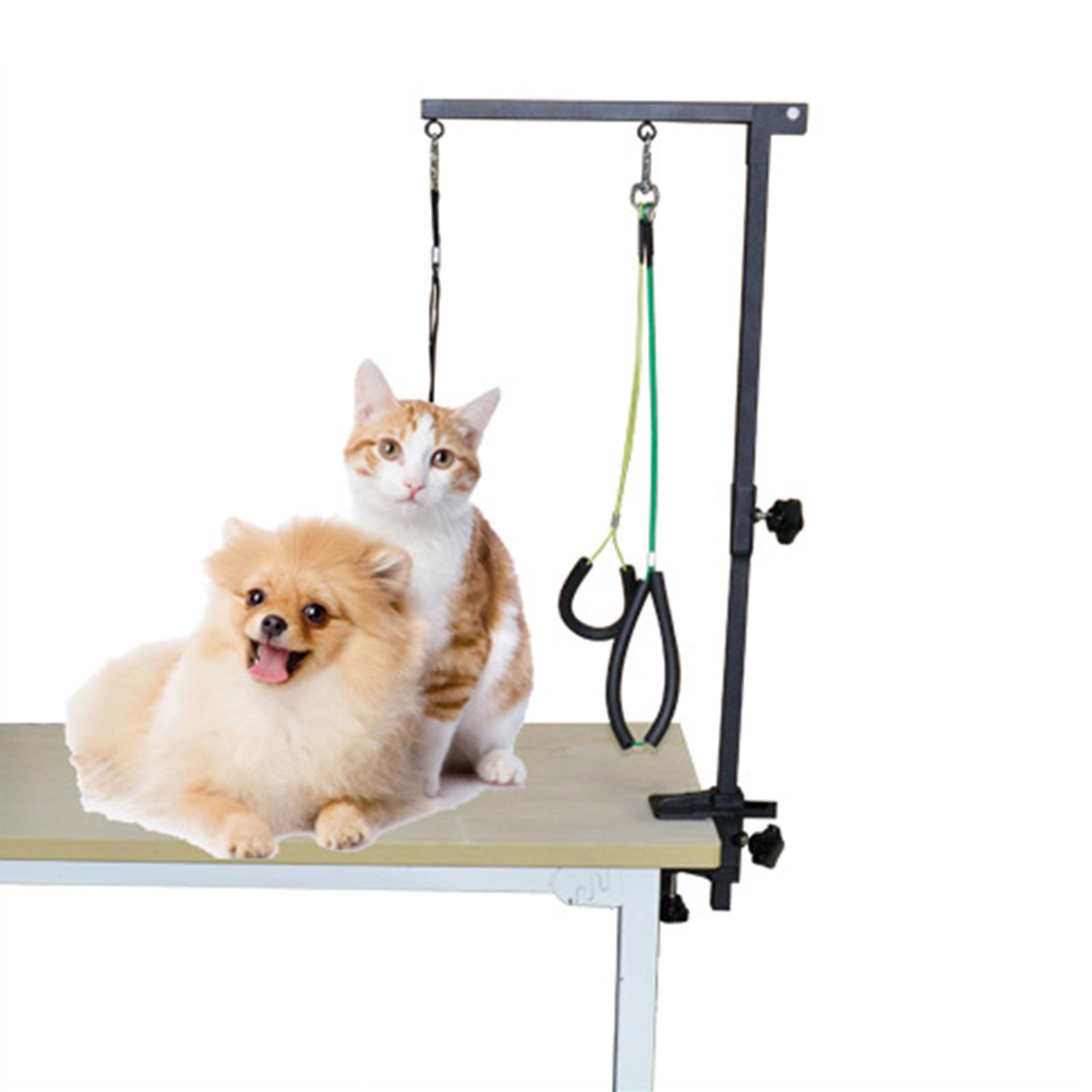 Mesa de peluquería canina con  - Folding Pet Grooming Table Arm Clamp reseña y precio