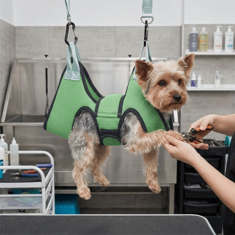 Hamaca ajustable de malla para - Pet Grooming Hammock Sling Restraint reseña y precio
