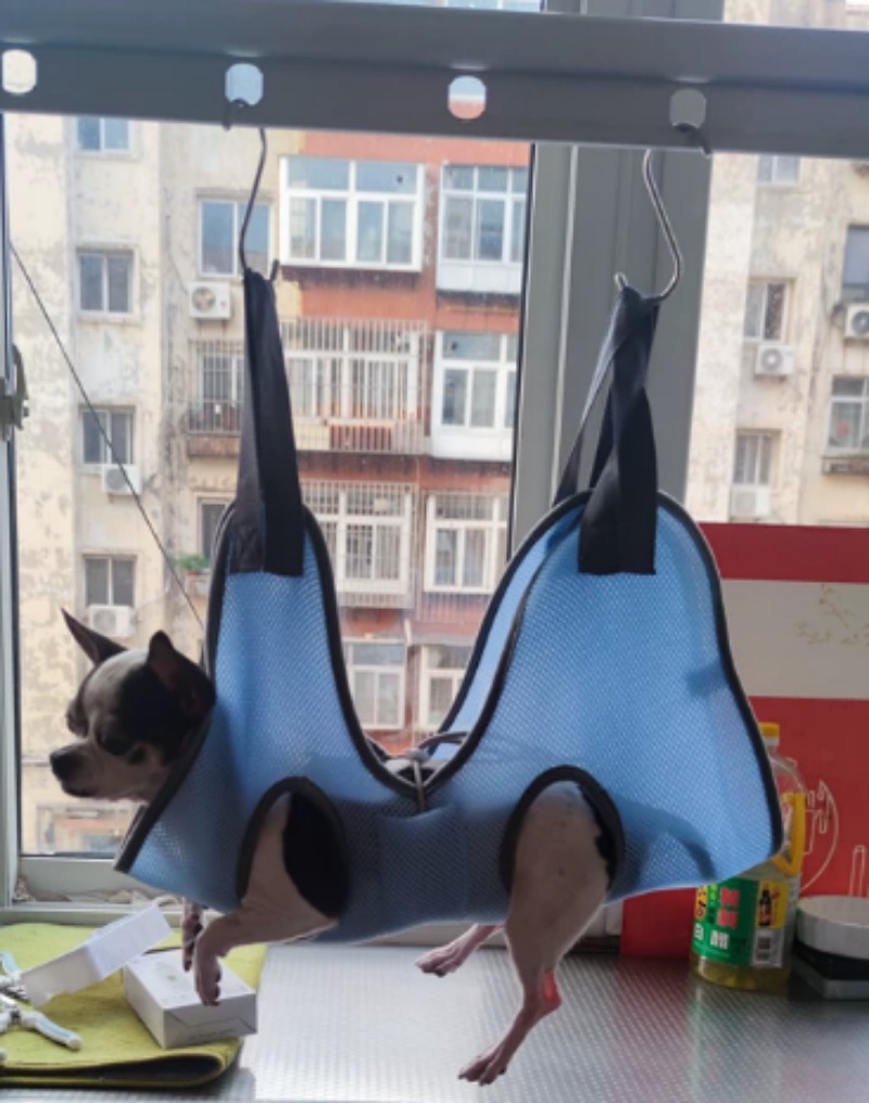 Hamaca para el cuidado de masc - Pet Grooming Hammock Sling Restraint reseña y precio