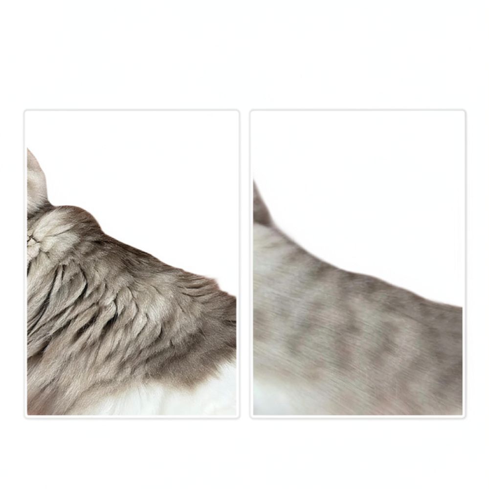 Cepillo profesional para el cu - Undercoat Rake Dematting Tool Dog Shedding reseña y precio