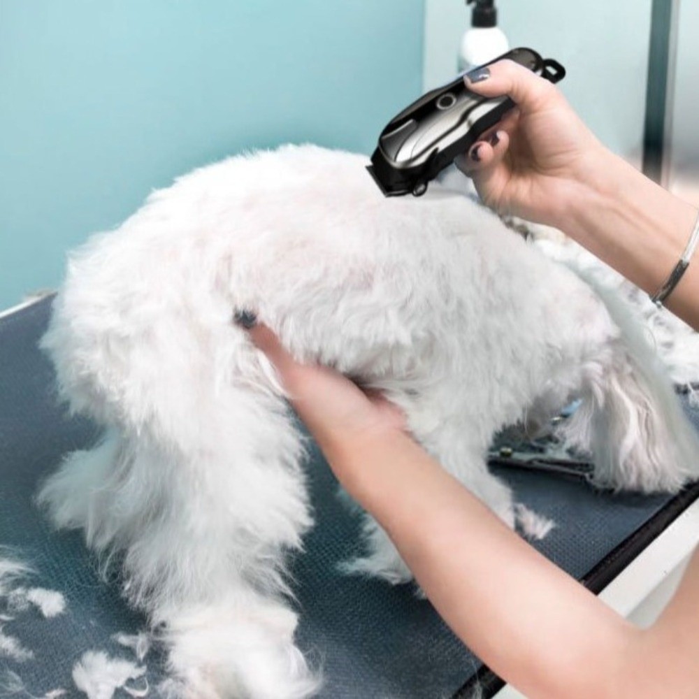 Cortadora de Pelo Eléctrica Re - Cordless Dog Clippers Low Noise Grooming reseña y precio