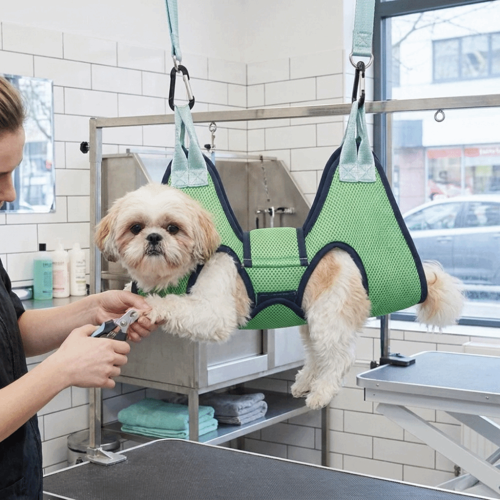 Hamaca ajustable de malla para - Pet Grooming Hammock Sling Restraint reseña y precio